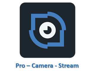 Network Optix Nx-Professional (L)