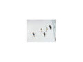 IQSight BVMS-LITEPRO-32