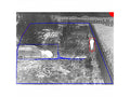 AXIS ACAP PERIMETER DEF 10 ELIC (L)