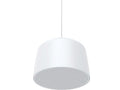 AXIS C1510 NETWORK PENDANT SPEAKER