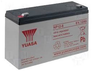 Yuasa NP12-6
