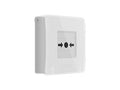 Ajax Manual Call Point-W