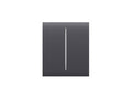 Ajax CenterButton (2-gang)-GRA