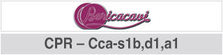 Berica KA622WZH100 - afbeelding 2
