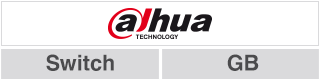 Dahua DH-IS4210-GT-120 - afbeelding 2
